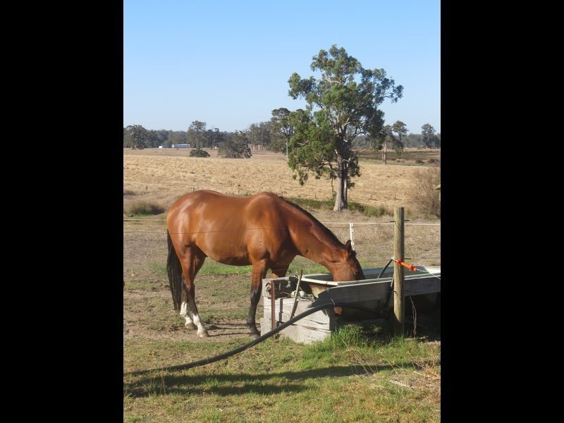 2 Chestnut Grove, Manjimup WA 6258