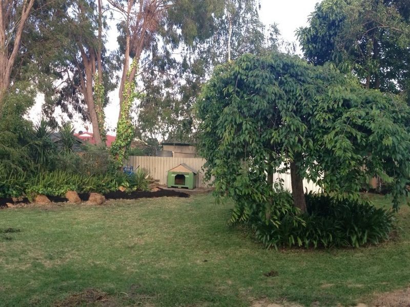 14 Sheoak Street, Manjimup WA 6258