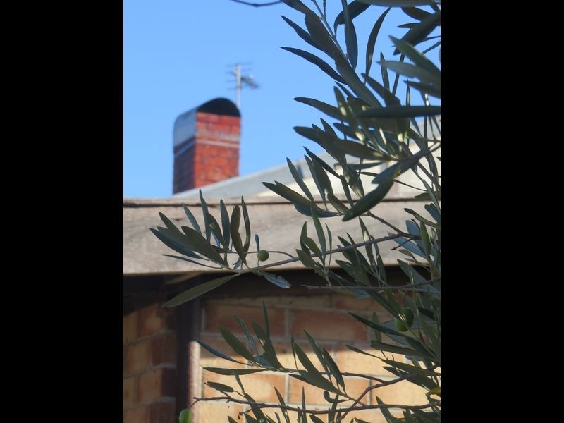 32 Pemberton North Road, Pemberton WA 6260