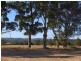 246 Golflinks Road, Pemberton WA 6260
