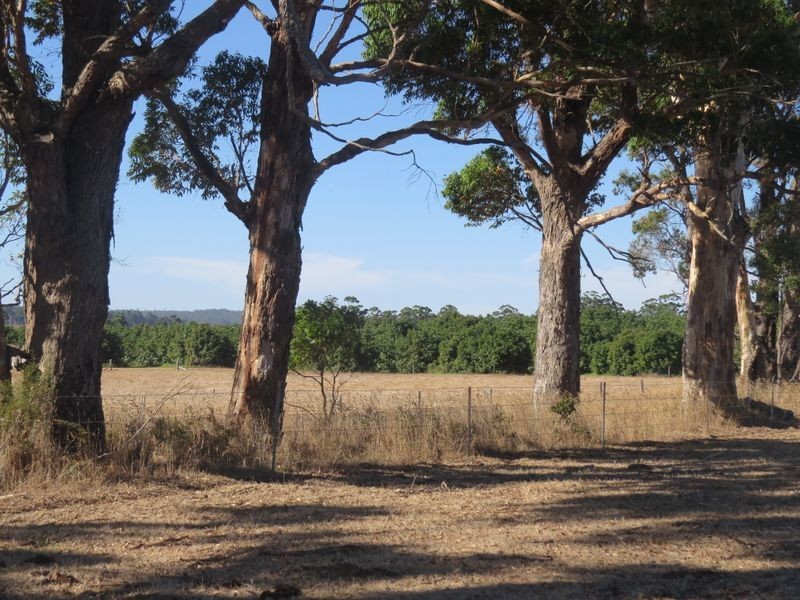 250 Golflinks Road, Pemberton WA 6260