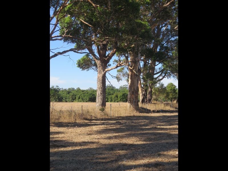 250 Golflinks Road, Pemberton WA 6260