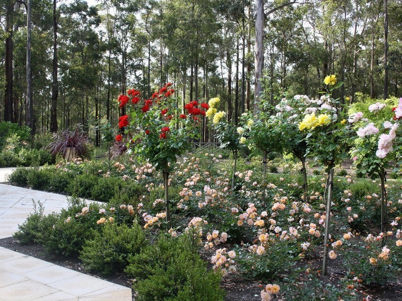 Lot 16 Bella Vista Road, Manjimup WA 6258
