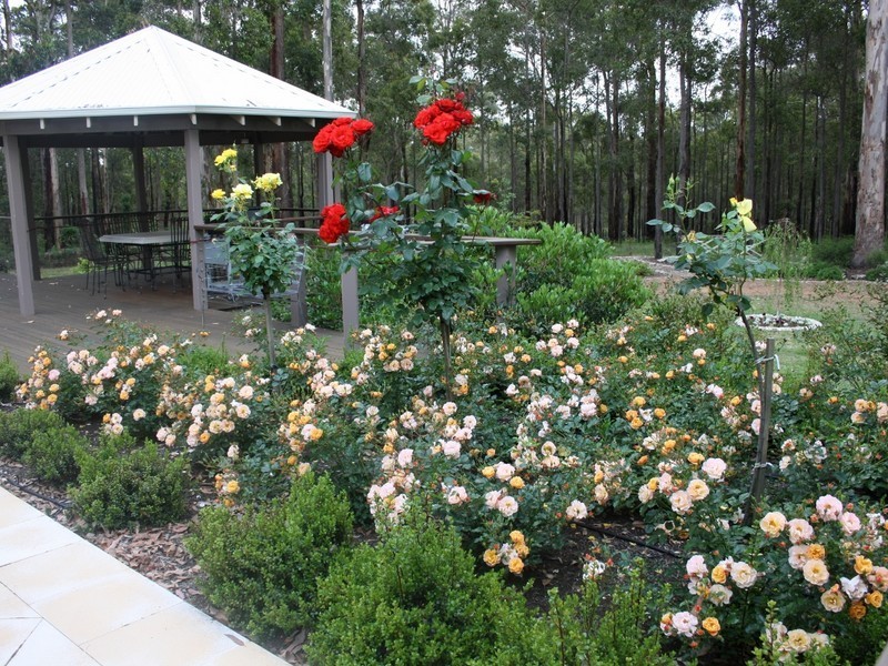 Lot 16 Bella Vista Road, Manjimup WA 6258