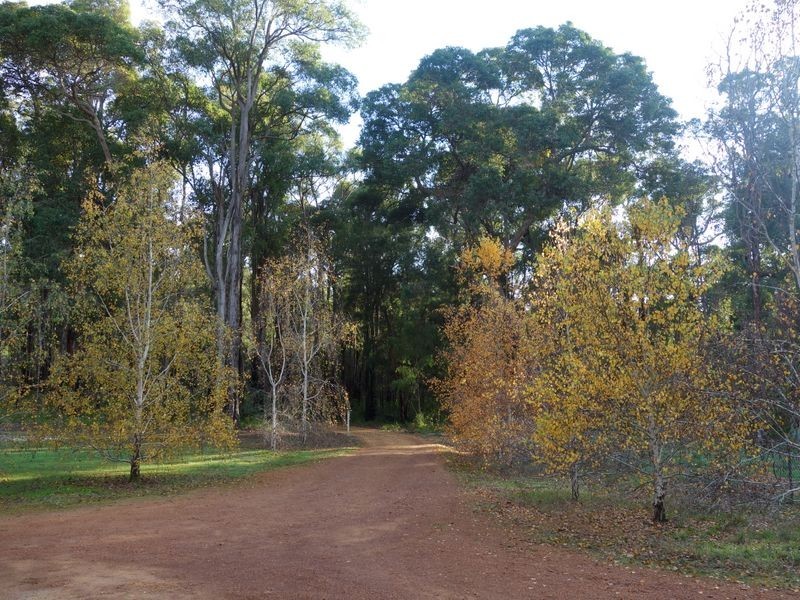 174 Plackett Drive, Pemberton WA 6260