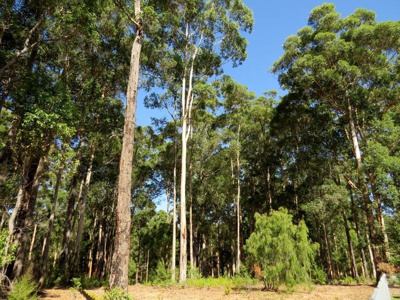 174 Plackett Drive, Pemberton WA 6260