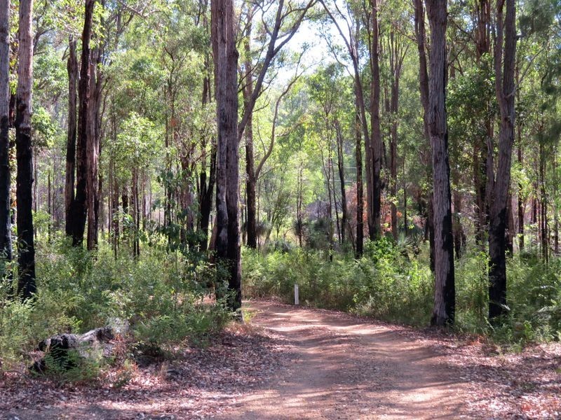 174 Plackett Drive, Pemberton WA 6260