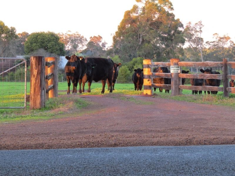 1791 Muir Hwy, Manjimup WA 6258