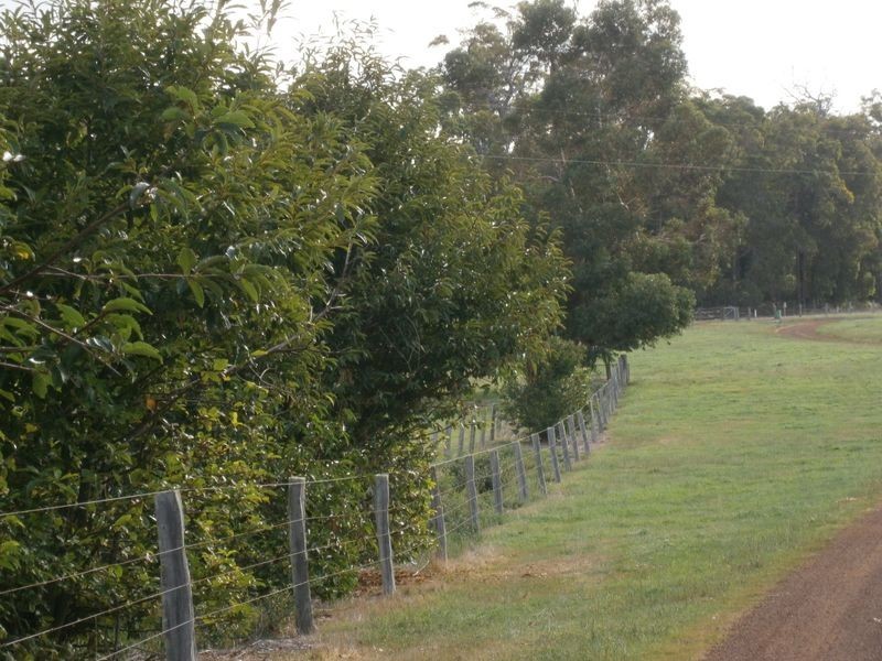 1791 Muir Hwy, Manjimup WA 6258