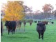 1791 Muir Hwy, Manjimup WA 6258