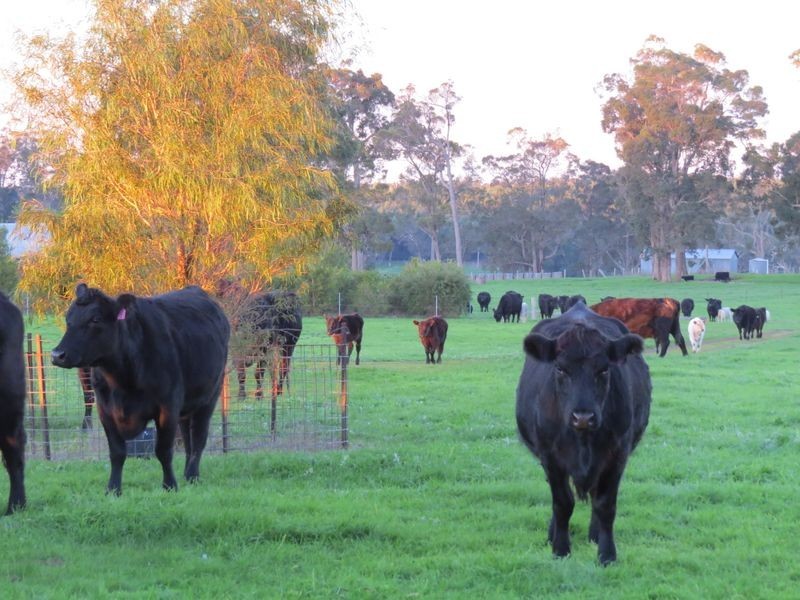 1791 Muir Hwy, Manjimup WA 6258