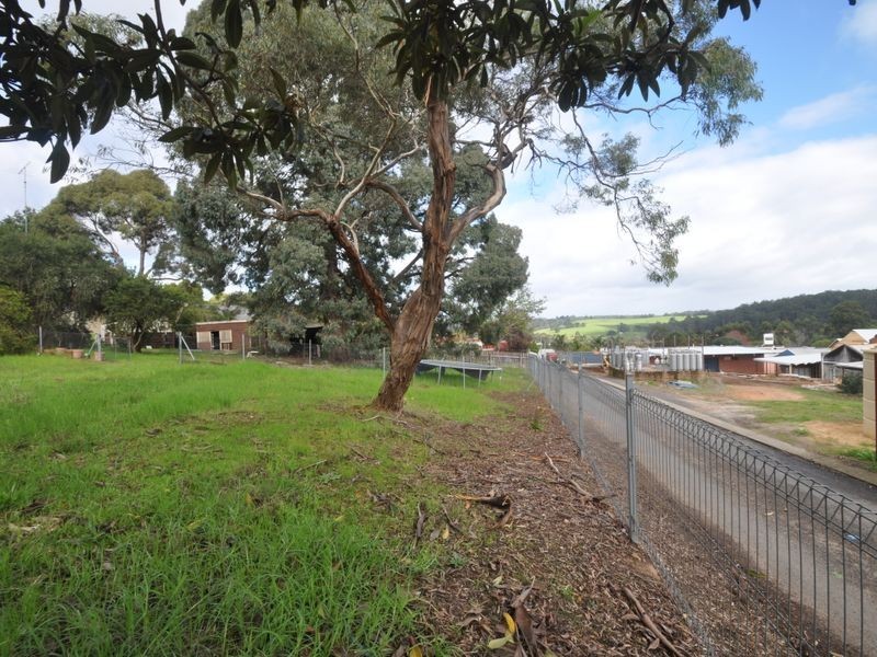 11 Guppy Street, Pemberton WA 6260