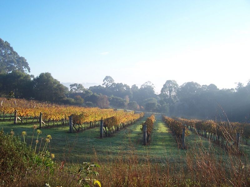 11891 Conte Road, Pemberton WA 6260