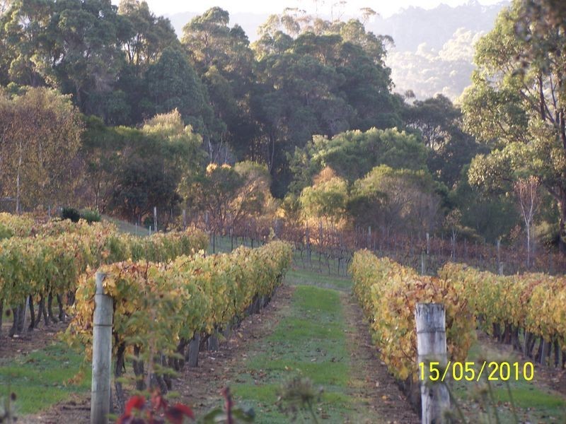 11891 Conte Road, Pemberton WA 6260