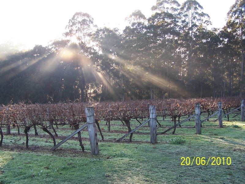 11891 Conte Road, Pemberton WA 6260