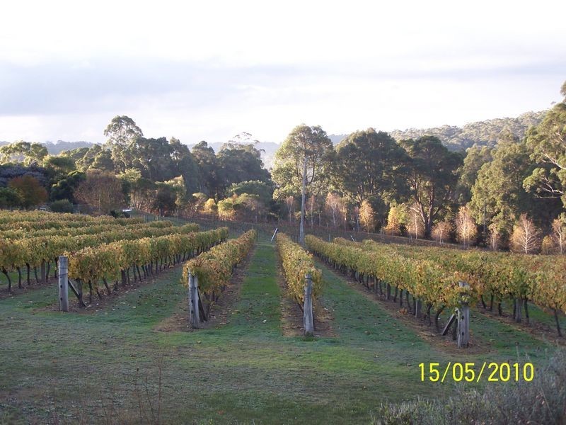 11891 Conte Road, Pemberton WA 6260