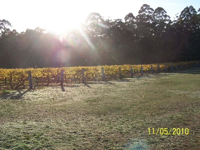 11891 Conte Road, Pemberton WA 6260