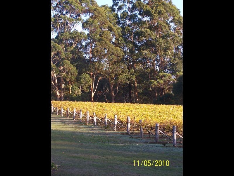 11891 Conte Road, Pemberton WA 6260