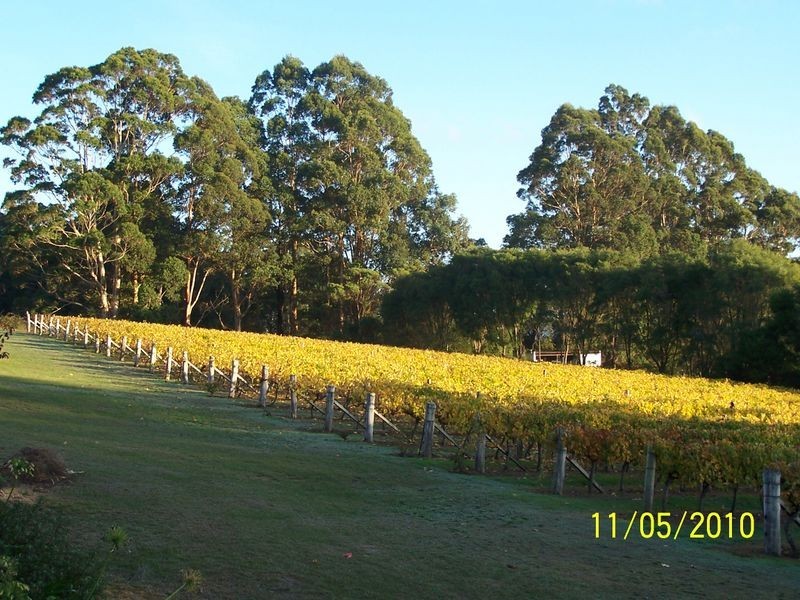 11891 Conte Road, Pemberton WA 6260