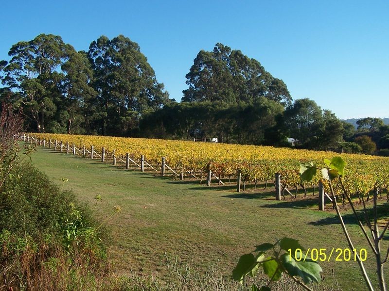 11891 Conte Road, Pemberton WA 6260