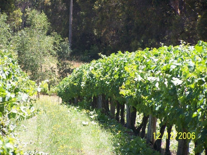 11891 Conte Road, Pemberton WA 6260