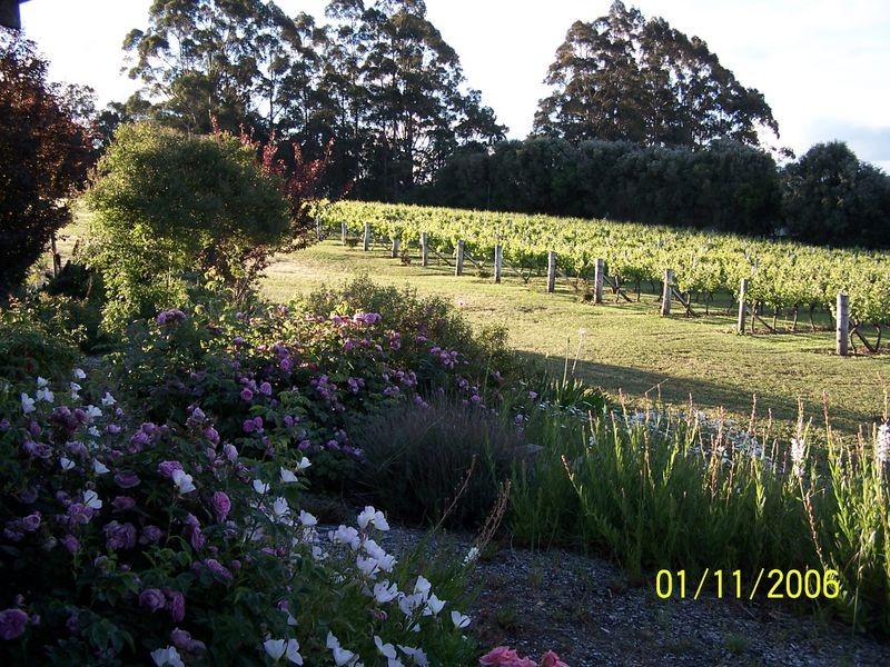 11891 Conte Road, Pemberton WA 6260