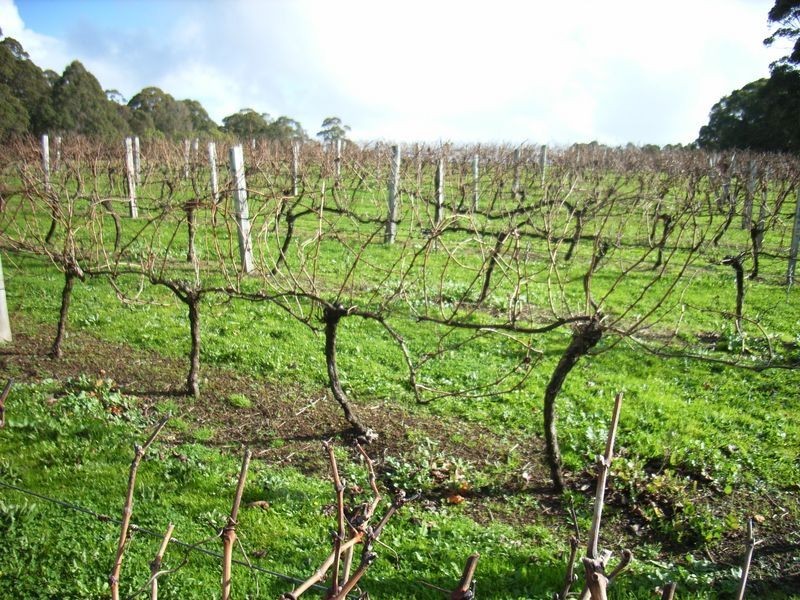 11891 Conte Road, Pemberton WA 6260