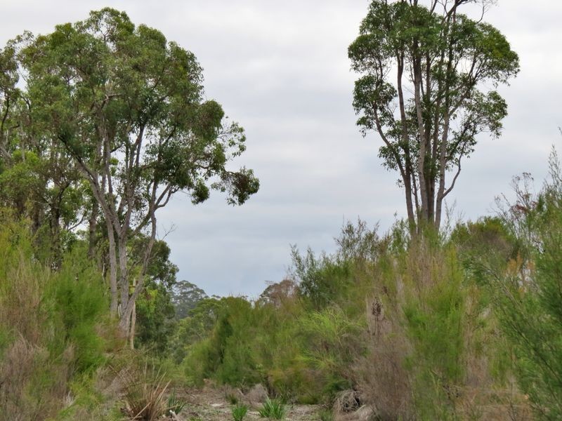 3 Gumnut Rd, Northcliffe WA 6262