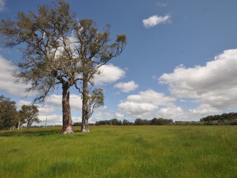 2425 Pemberton-Northcliffe Road, Northcliffe WA 6262