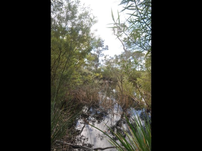 2425 Pemberton-Northcliffe Road, Northcliffe WA 6262