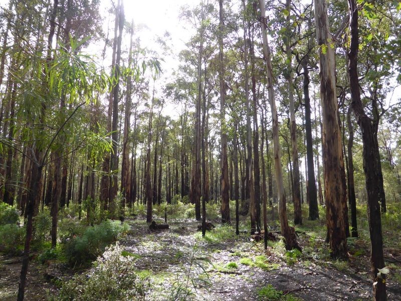 37 Woodgate Retreat, Manjimup WA 6258