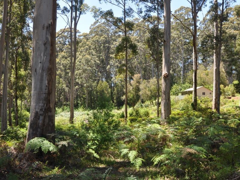 40 Plackett Drive, Pemberton WA 6260