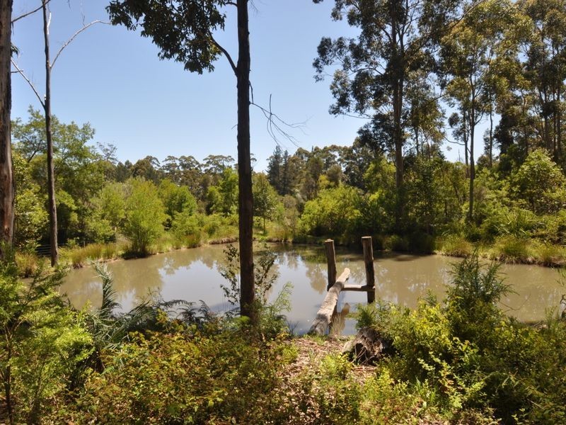 40 Plackett Drive, Pemberton WA 6260