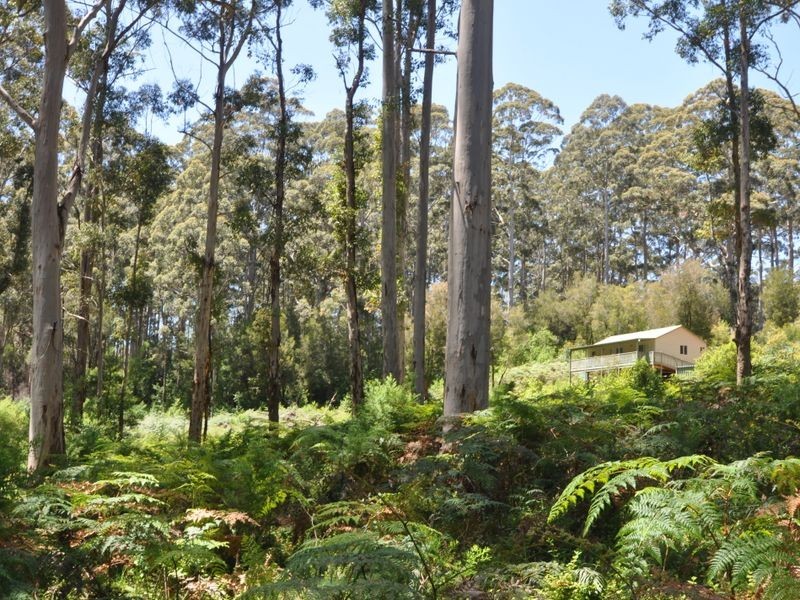 40 Plackett Drive, Pemberton WA 6260