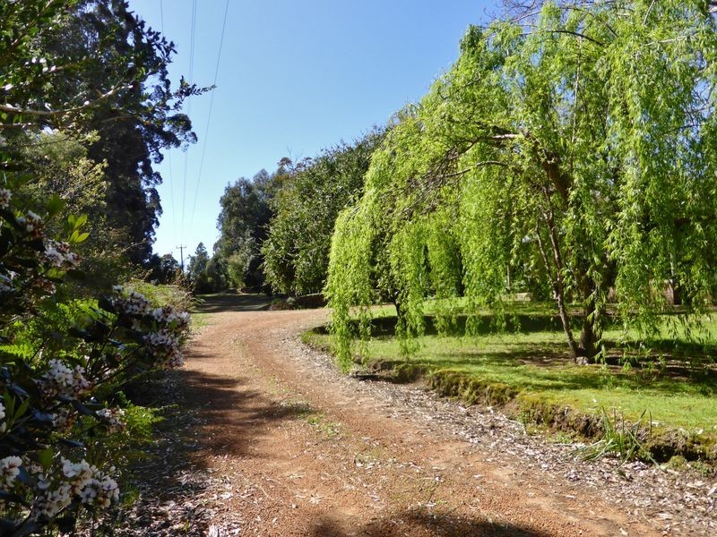 202 Muirillup Road, Northcliffe WA 6262