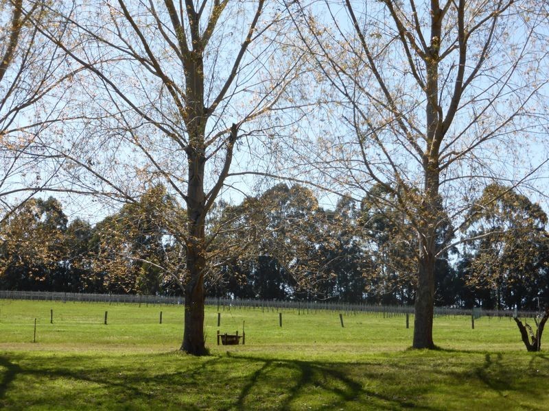 202 Muirillup Road, Northcliffe WA 6262