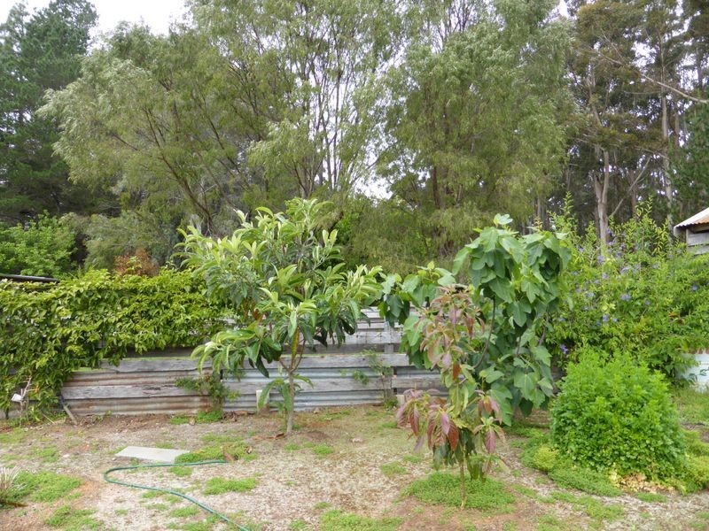 5 Mill Road, Northcliffe WA 6262