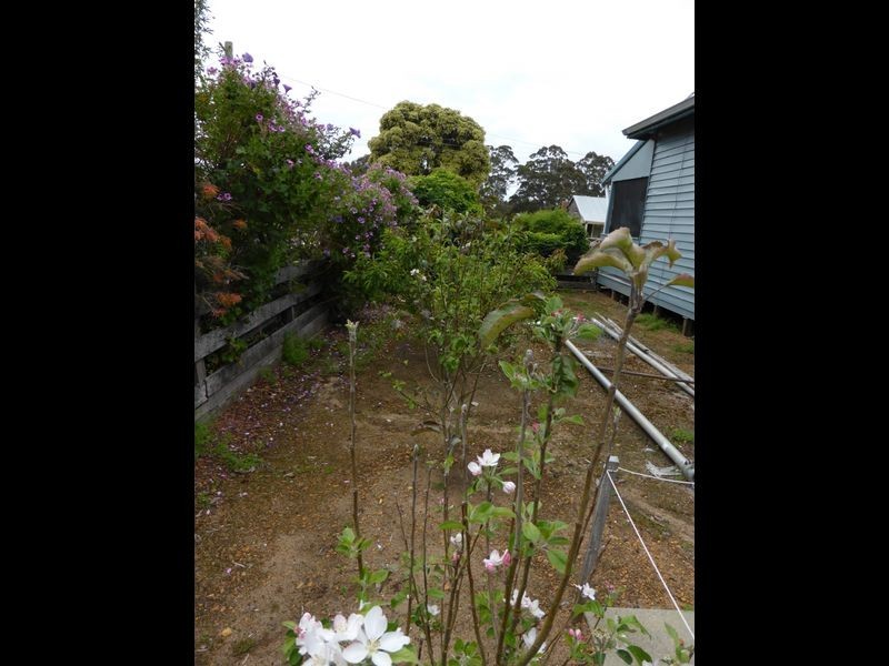 5 Mill Road, Northcliffe WA 6262