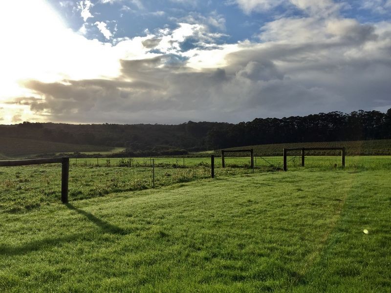 2 Stirling Road, Pemberton WA 6260