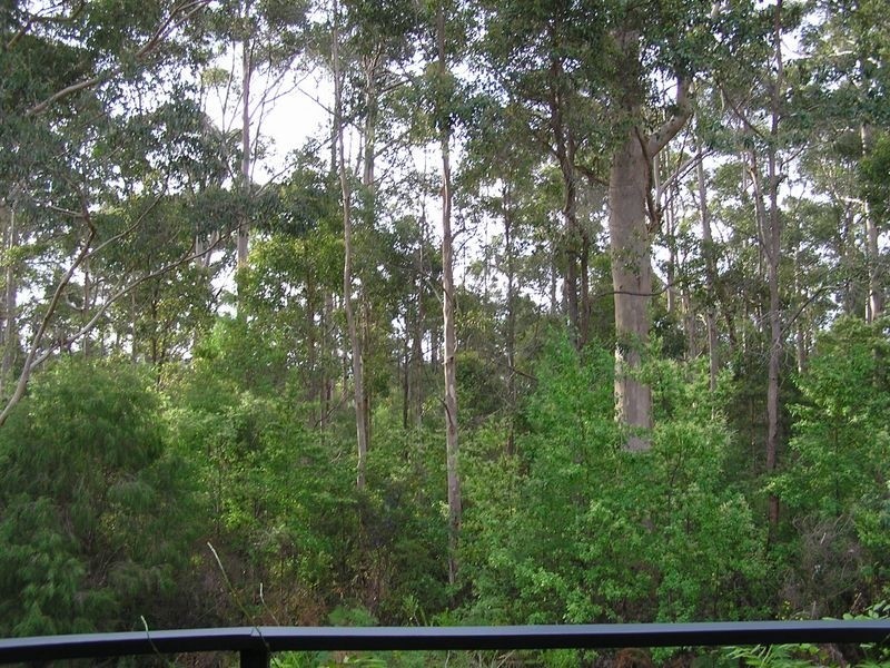 9/ Wattlebird Grove, Pemberton WA 6260