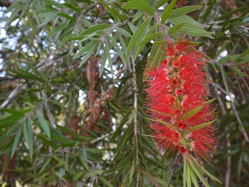 23 North Street, Northcliffe WA 6262