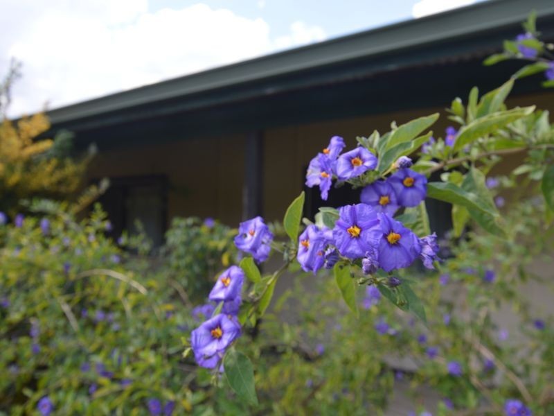 23 North Street, Northcliffe WA 6262