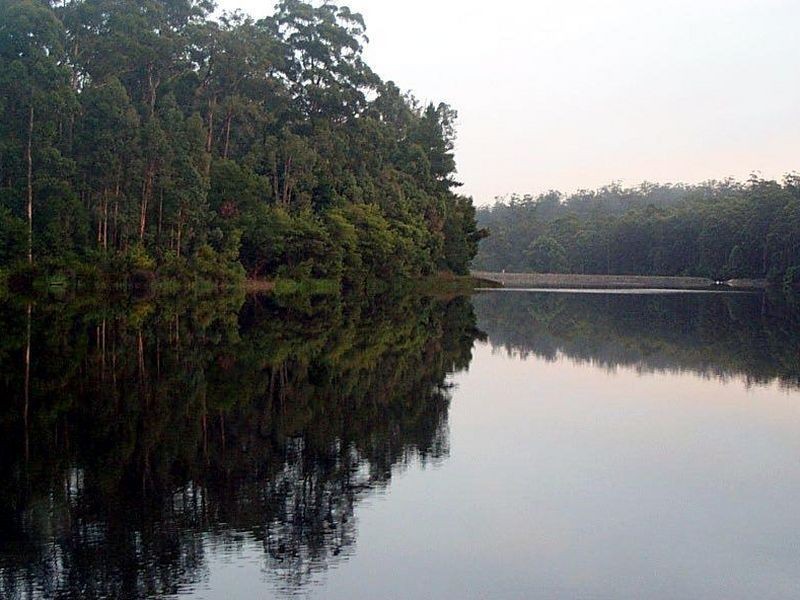 11 Titree Glen, Quinninup WA 6258