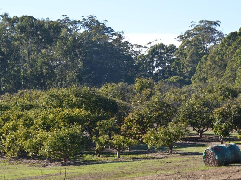 88 Barker Road, Pemberton WA 6260