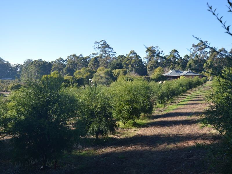 88 Barker Road, Pemberton WA 6260