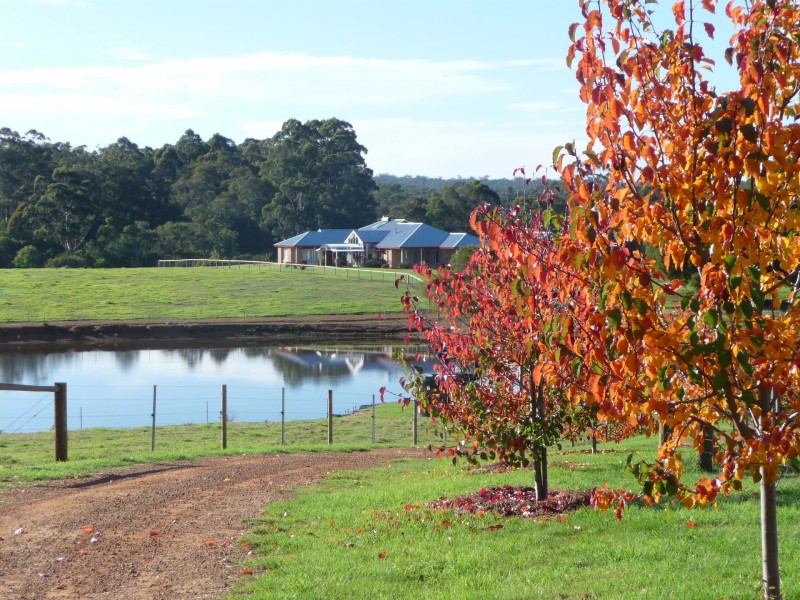 544 Boorara Road, Pemberton WA 6260