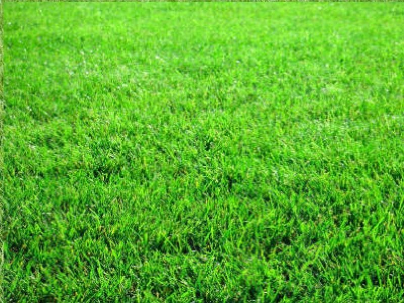 3/93-97 Alexandra Street, Greensborough VIC 3088