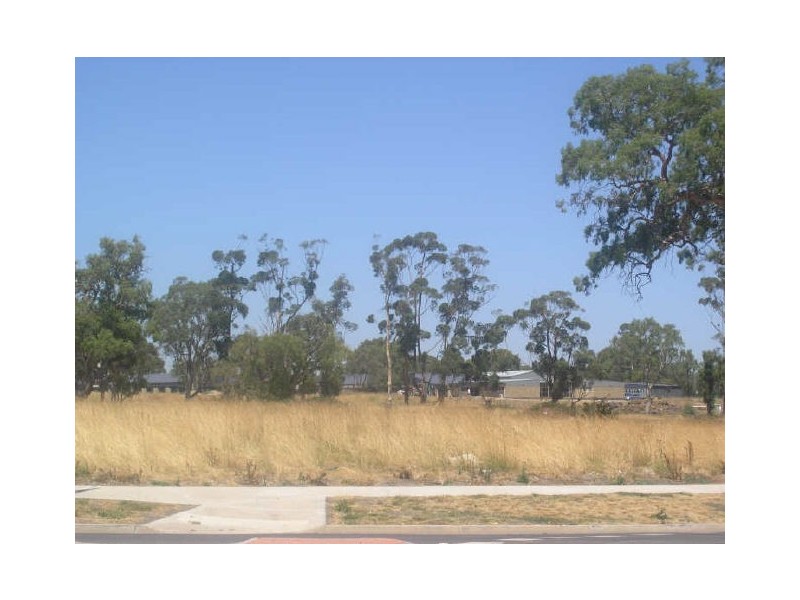 2 Williewagtail Drive, South Morang VIC 3752