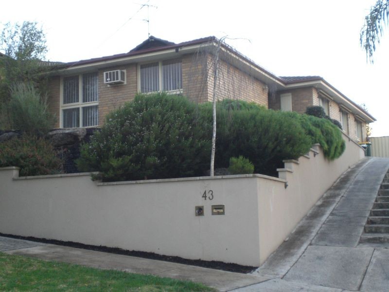 43 Kurrajong Crescent, Watsonia VIC 3087