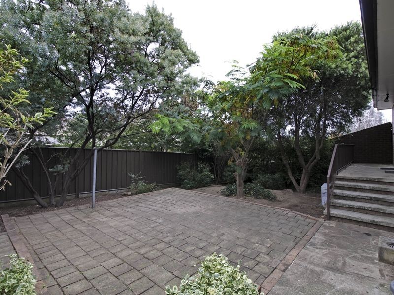 86 Dexter Street, Cook ACT 2614